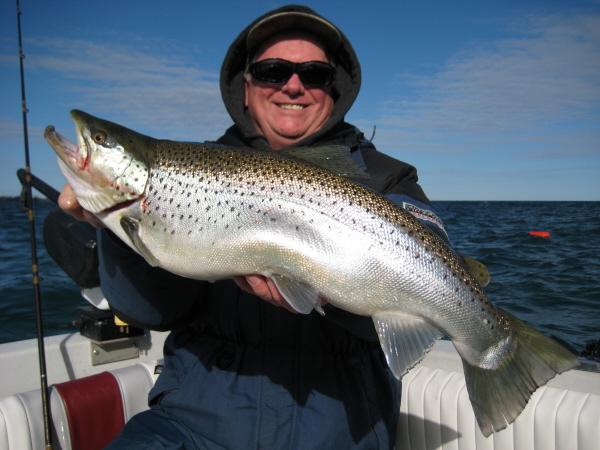 Lake Ontario Brown Trout Fishing Bill Saiff Outdoors