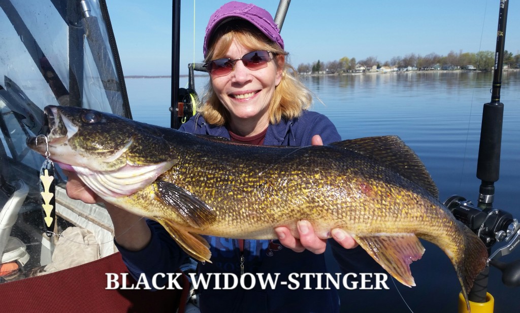 Lake Ontario Walleye Fishing Bill Saiff Outdoors